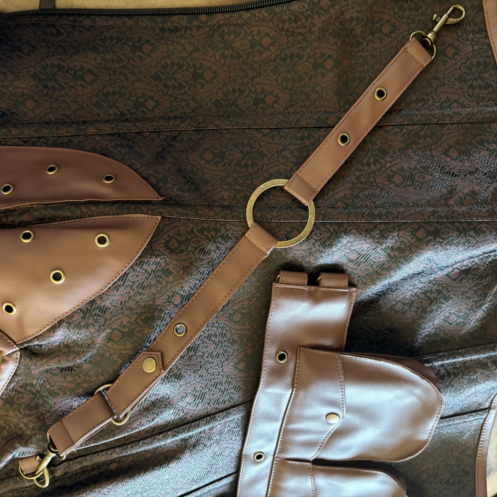 Brown Leather Harness with Gold Accents